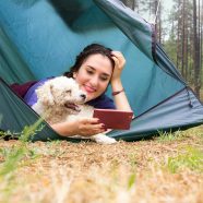 À savoir sur un service en camping au bord de mer à Brétignolles sur mer