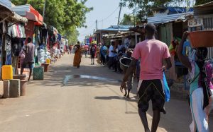 Explorer le Sénégal