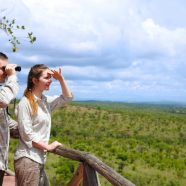 Safari, jungle ou montagne : quel terrain privilégier pour un séjour naturaliste ?
