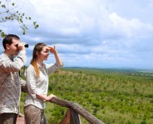 Safari, jungle ou montagne : quel terrain privilégier pour un séjour naturaliste ?