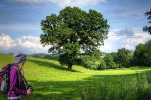 Voyage responsable et gestes simples